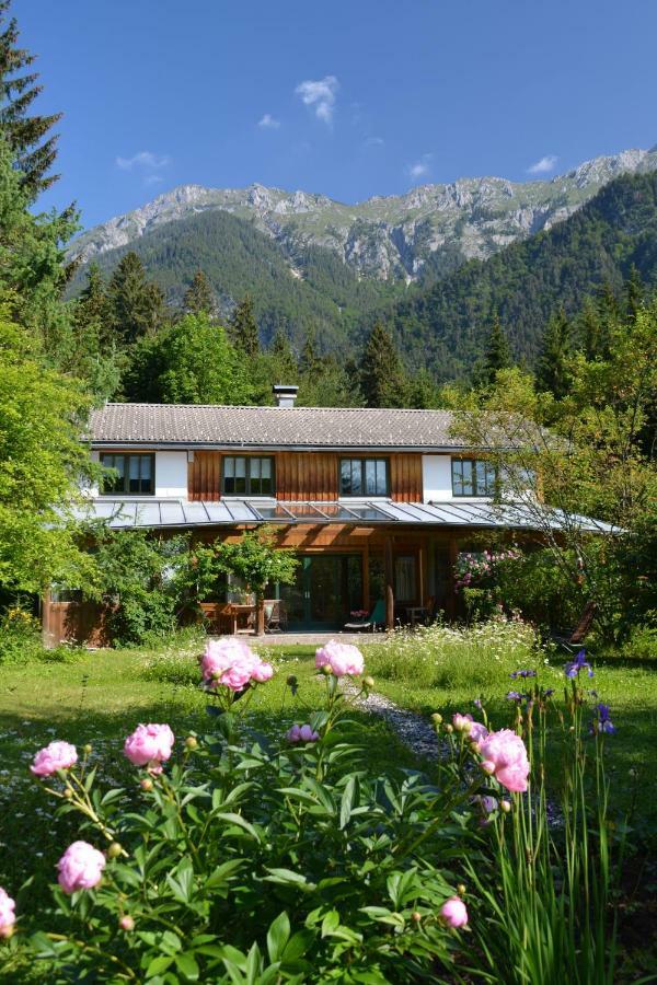 Petra Maria Soelle - Ferienhaus Sehr Privat Presseggersee Extérieur photo